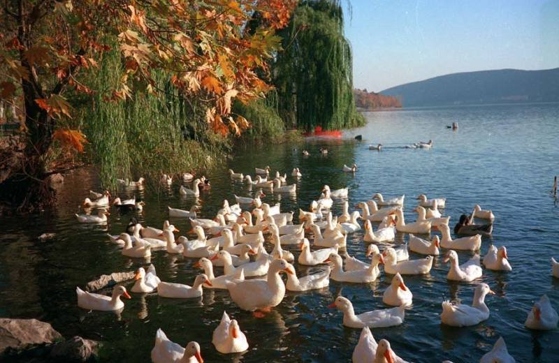 Η ποιότητα του νερού της λίμνης της Καστοριάς βελτιώθηκε από κακή σε μέτρια